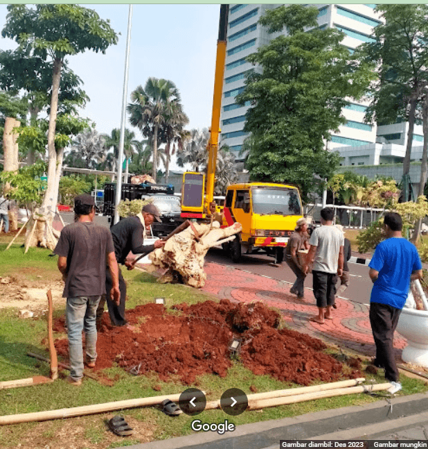 Tukang Tebang Pohon .pak Andi - Google Maps - Google Chrome 01_02_2024 15_41_50.png