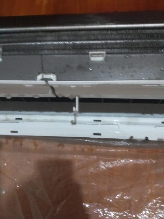 WhatsApp Image 2024-08-19 at 08.21.24.jpeg