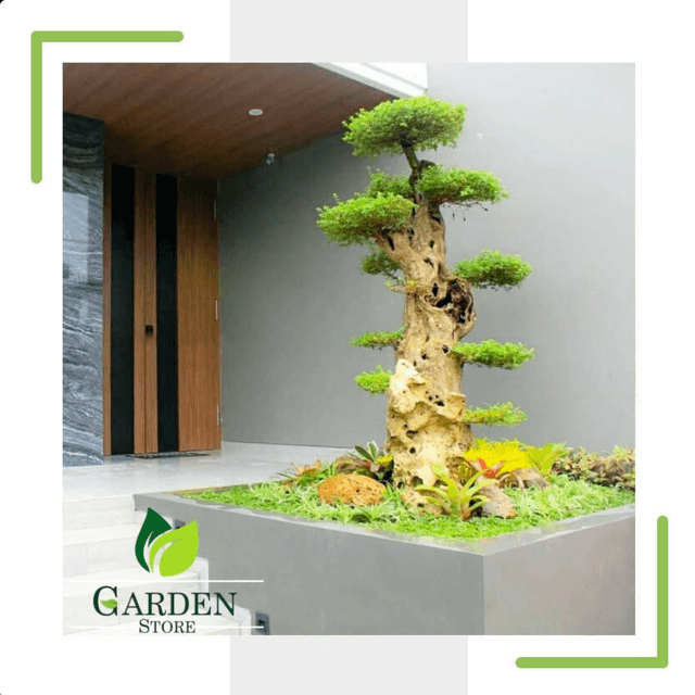 Screen Shot 2023-11-22 at 19.34.59.png